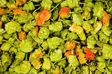 《数码宝贝世界 -next 0rder-》今日发售！同步公开游戏情报